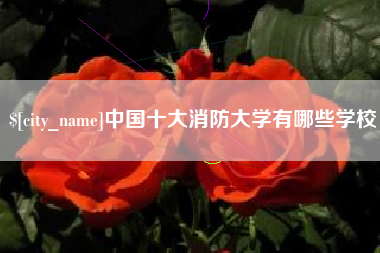 巢湖中国十大消防大学有哪些学校