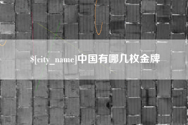 巢湖中国有哪几枚金牌