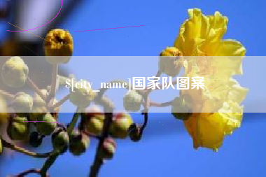 巢湖国家队图案