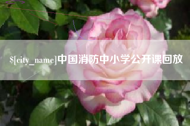 巢湖中国消防中小学公开课回放