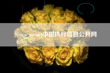 巢湖中国执行信息公开网