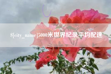 巢湖5000米世界纪录平均配速