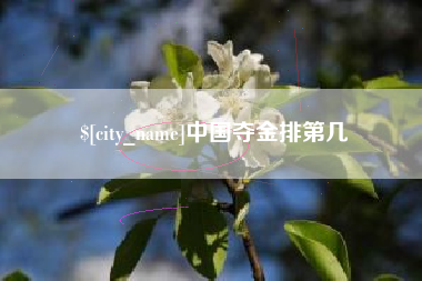 巢湖中国夺金排第几