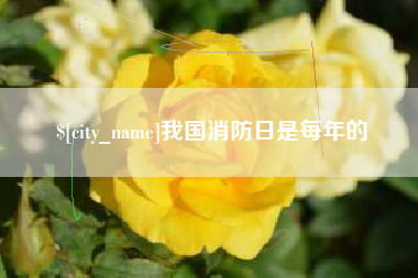 巢湖我国消防日是每年的
