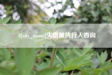 巢湖失信被执行人杳询