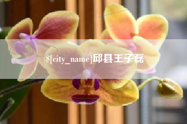 巢湖邱县王子磊