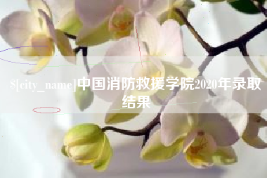 巢湖中国消防救援学院2020年录取结果