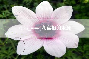 巢湖九宫格的来源
