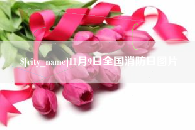 巢湖11月9日全国消防日图片