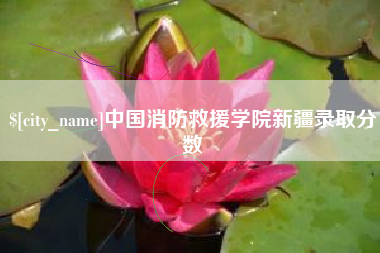 巢湖中国消防救援学院新疆录取分数