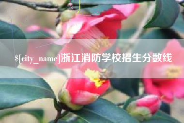 巢湖浙江消防学校招生分数线