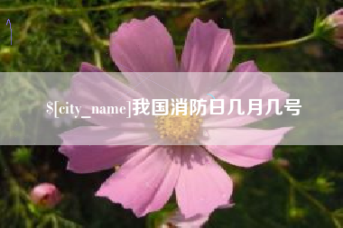 巢湖我国消防日几月几号
