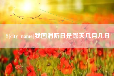 巢湖我国消防日是哪天几月几日