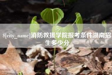 巢湖消防救援学院报考条件湖南招生多少分