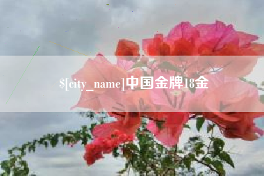 巢湖中国金牌18金
