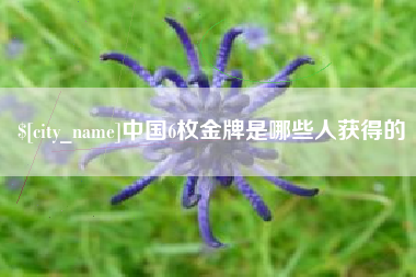 巢湖中国6枚金牌是哪些人获得的