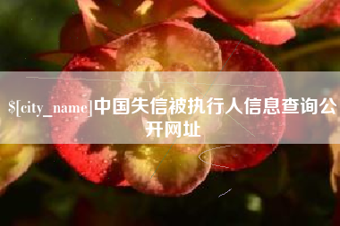 巢湖中国失信被执行人信息查询公开网址