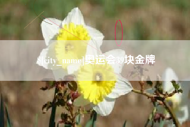 巢湖奥运会39块金牌