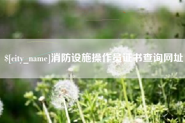 巢湖消防设施操作员证书查询网址