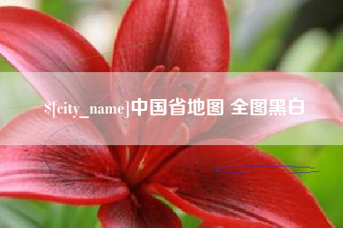 巢湖中国省地图 全图黑白
