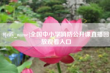 巢湖全国中小学消防公开课直播回放观看入口