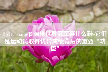 巢湖5000米世界冠军穿什么鞋-它们是运动员取得优异成绩背后的重要“功臣”