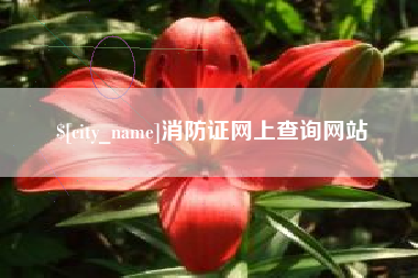 巢湖消防证网上查询网站