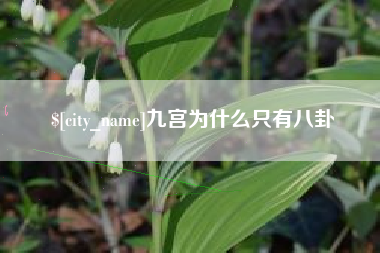 巢湖九宫为什么只有八卦