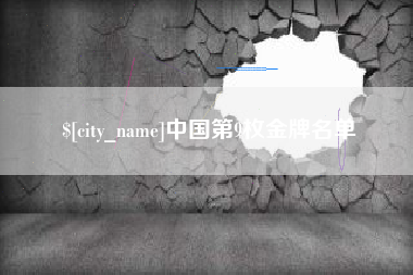 巢湖中国第9枚金牌名单