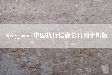巢湖中国执行信息公开网手机版