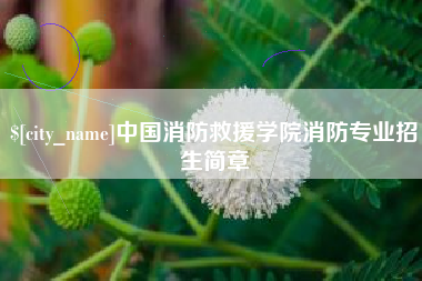 巢湖中国消防救援学院消防专业招生简章