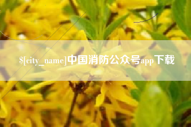 巢湖中国消防公众号app下载