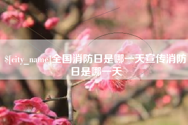 巢湖全国消防日是哪一天宣传消防日是哪一天