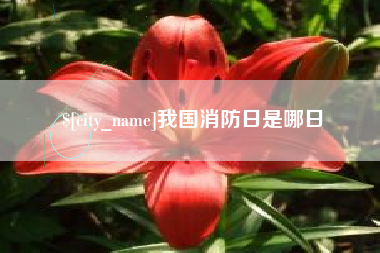 巢湖我国消防日是哪日