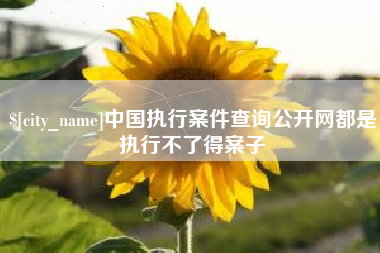 巢湖中国执行案件查询公开网都是执行不了得案子