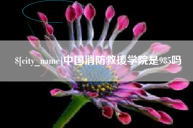 巢湖中国消防救援学院是985吗