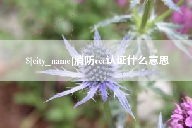 巢湖消防ccc认证什么意思