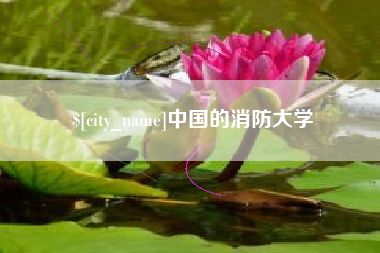 巢湖中国的消防大学