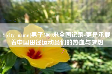 巢湖男子5000米全国记录-更是承载着中国田径运动员们的热血与梦想