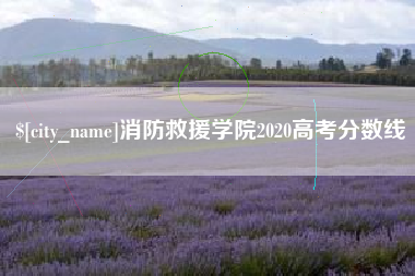 巢湖消防救援学院2020高考分数线
