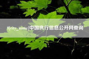 巢湖中国执行信息公开网查询
