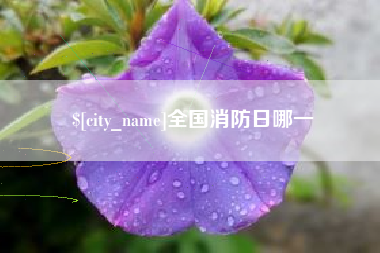 巢湖全国消防日哪一