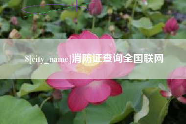 巢湖消防证查询全国联网