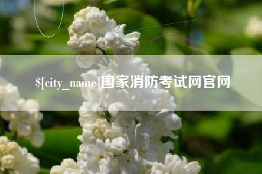 巢湖国家消防考试网官网