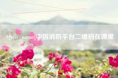 巢湖中国消防平台二维码在哪里