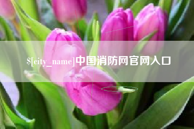 巢湖中国消防网官网入口