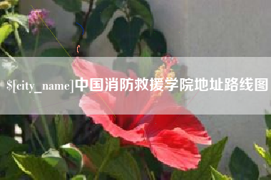 巢湖中国消防救援学院地址路线图