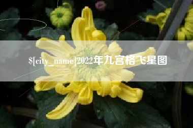 巢湖2022年九宫格飞星图