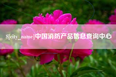 巢湖中国消防产品信息查询中心