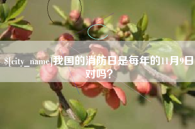 巢湖我国的消防日是每年的11月9日对吗？